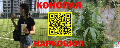 амф Кузнецк