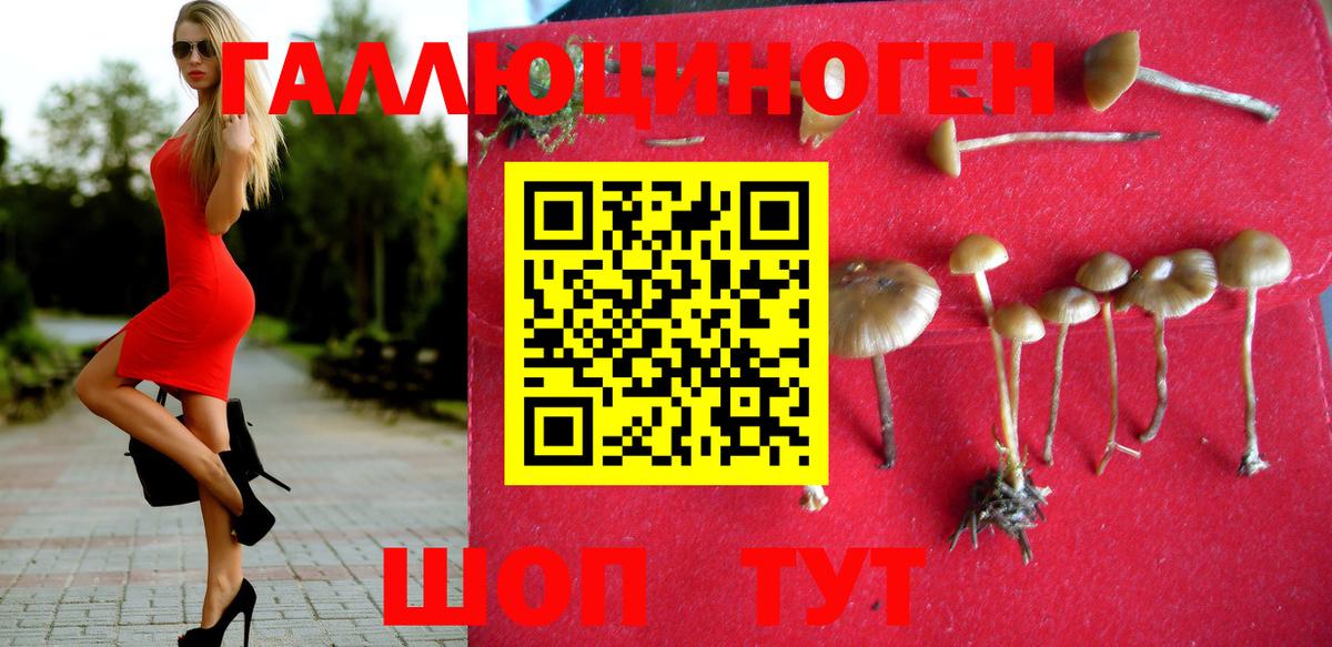 Галлюциногенные грибы Psilocybe  Вход с VPN  Богородицк 